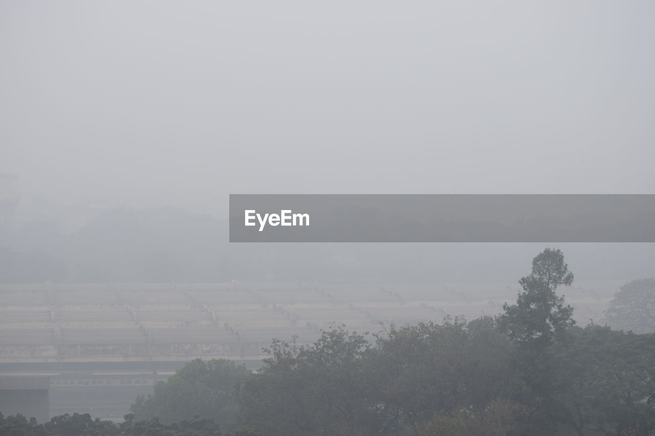 SCENIC VIEW OF TREE MOUNTAIN AGAINST SKY