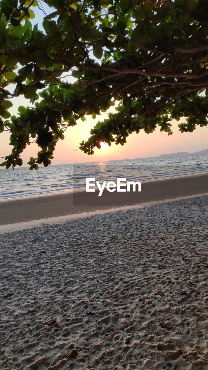 SCENIC VIEW OF BEACH DURING SUNSET