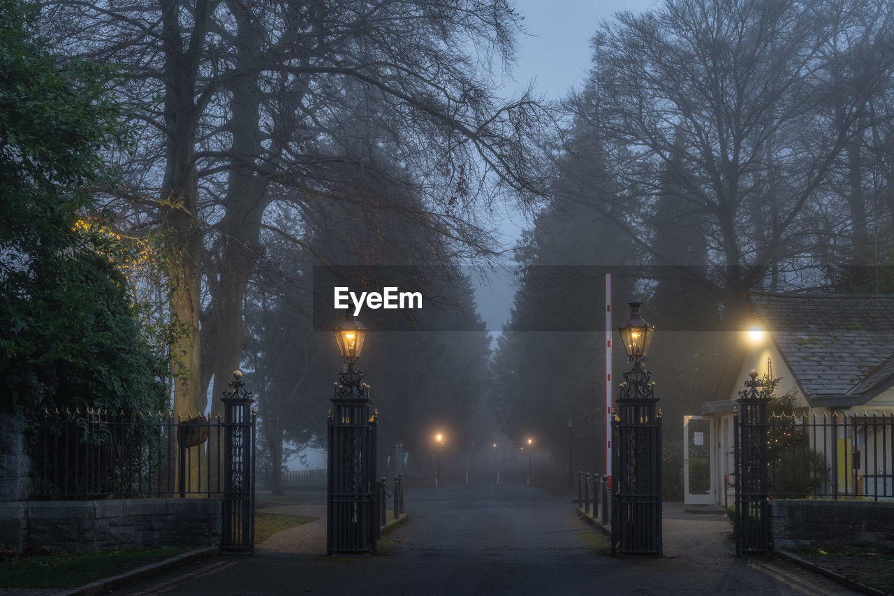 Vintage gate with electric lamps on entrance to phoenix park with trees and road vanishing in fog