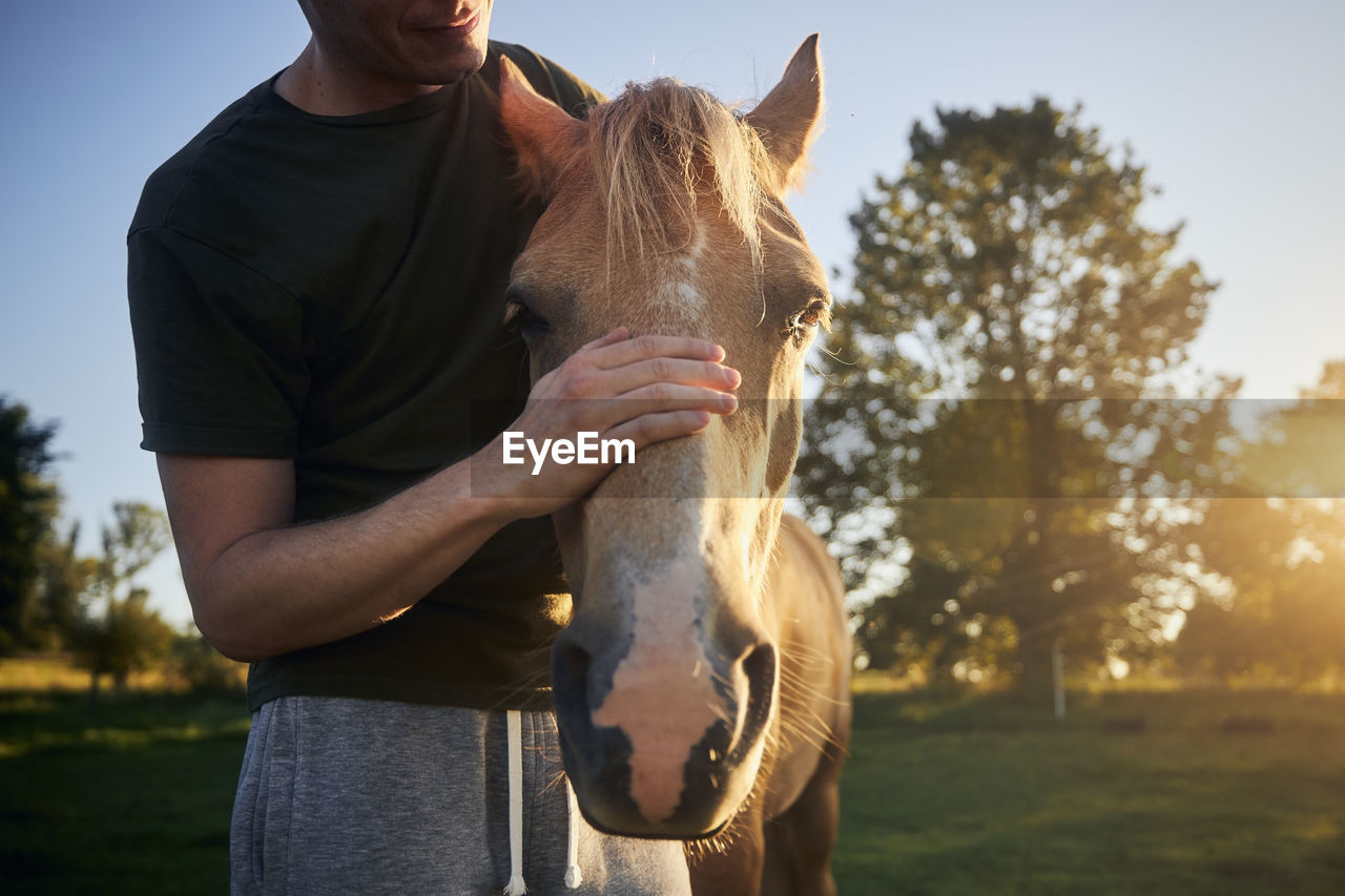 Man is stroking head of therapy horse at beautiful summer sunset. 