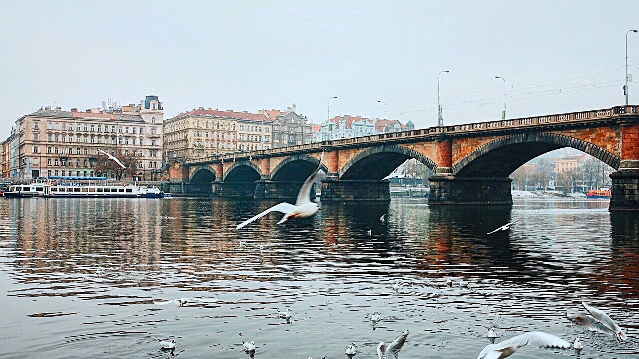 BIRDS PERCHING ON BRIDGE OVER CITY AGAINST SKY