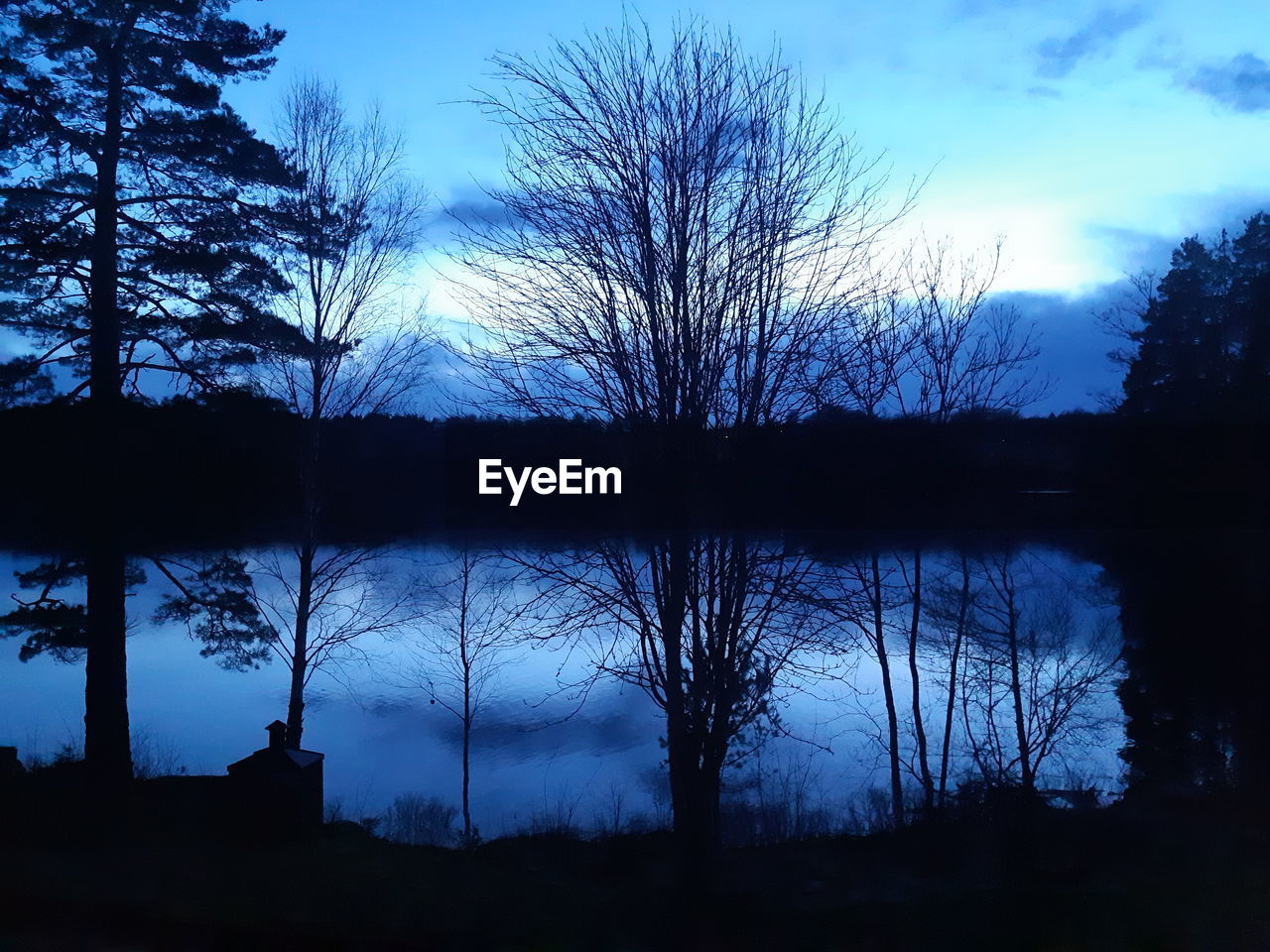 SILHOUETTE TREES BY LAKE AGAINST SKY AT SUNSET