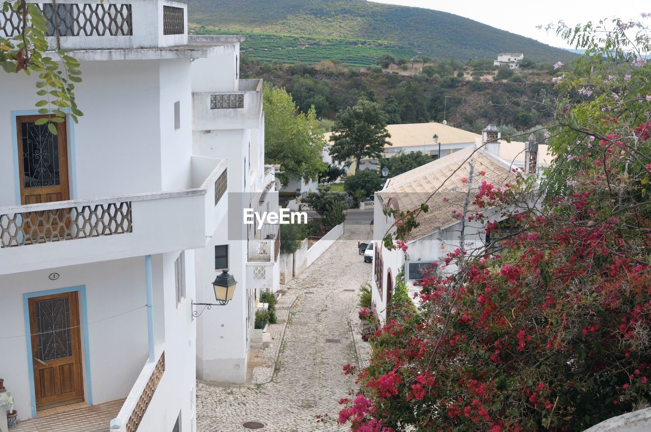 Houses and trees against mountains