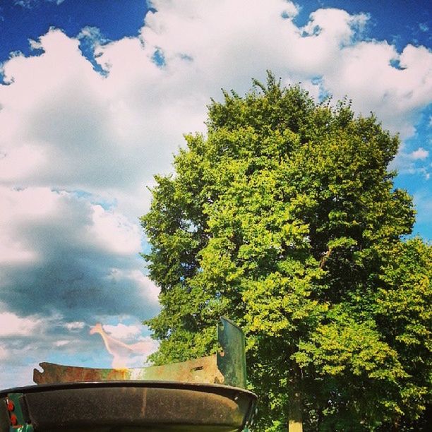 LOW ANGLE VIEW OF TREES AND CLOUDY SKY