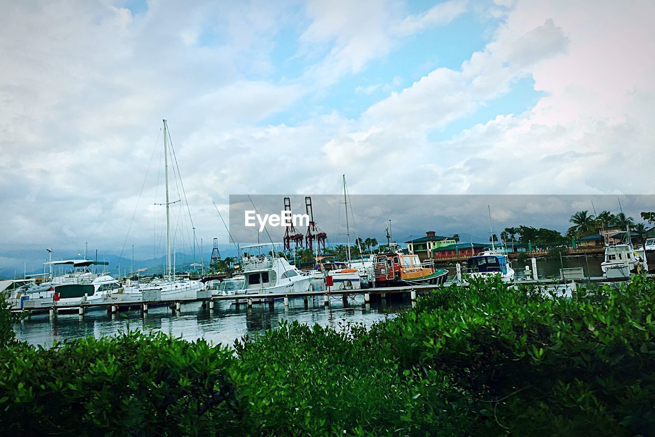 sky, cloud - sky, nautical vessel, no people, mode of transport, architecture, day, moored, outdoors, water, transportation, built structure, nature, building exterior, harbor, sea, beauty in nature, tree