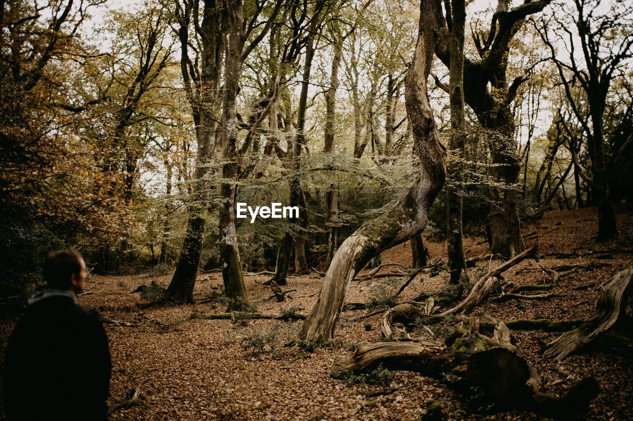 Rear view of man standing in forest