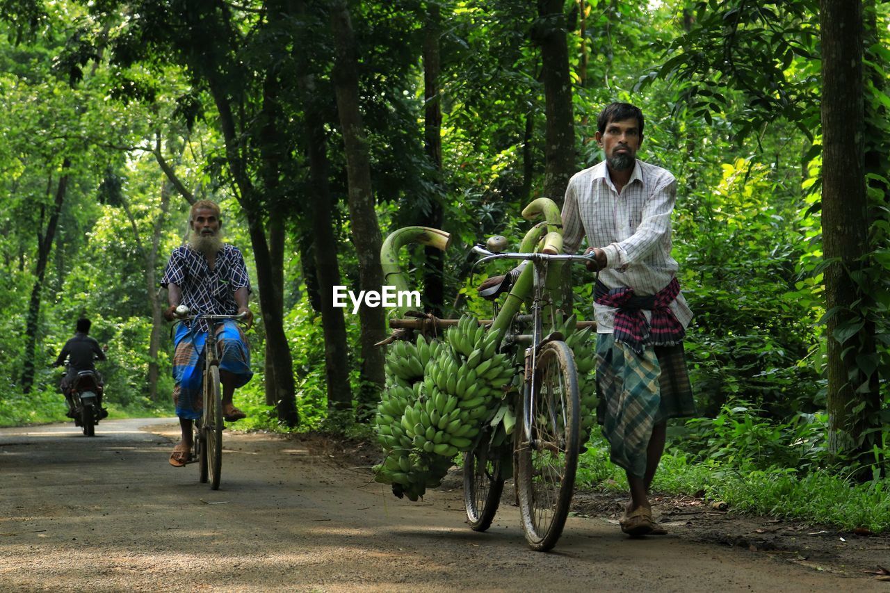 Transporting banana by bicycle throughout the middle of forest