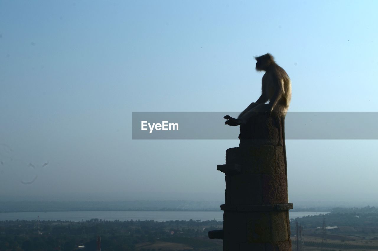 VIEW OF STATUE PERCHING ON SEA