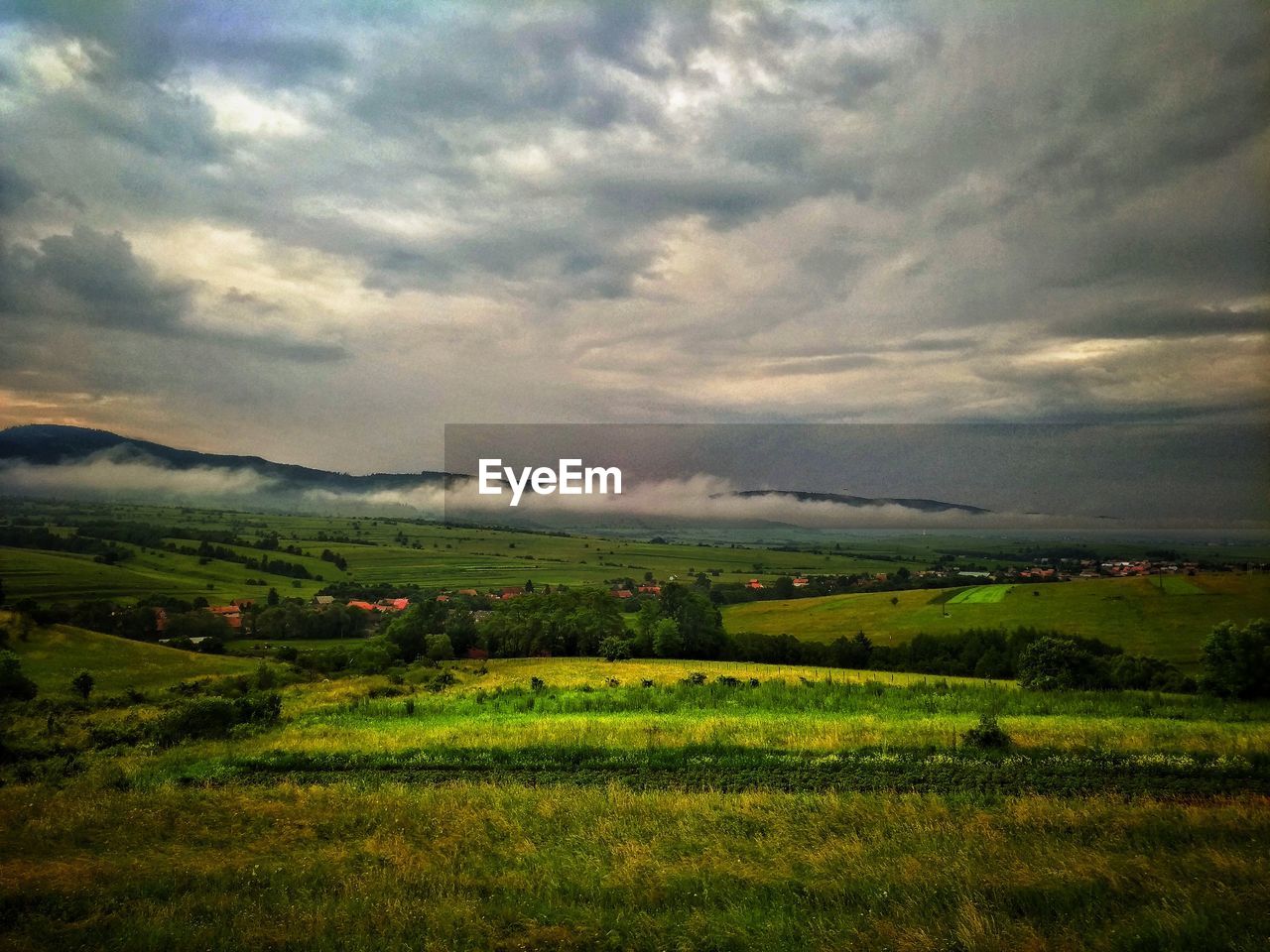 SCENIC VIEW OF AGRICULTURAL LANDSCAPE AGAINST SKY