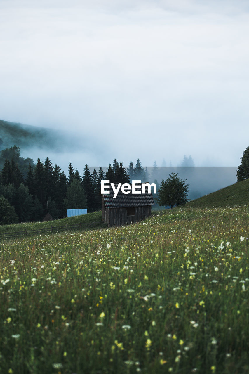 Scenic view of shack on grassy field against sky