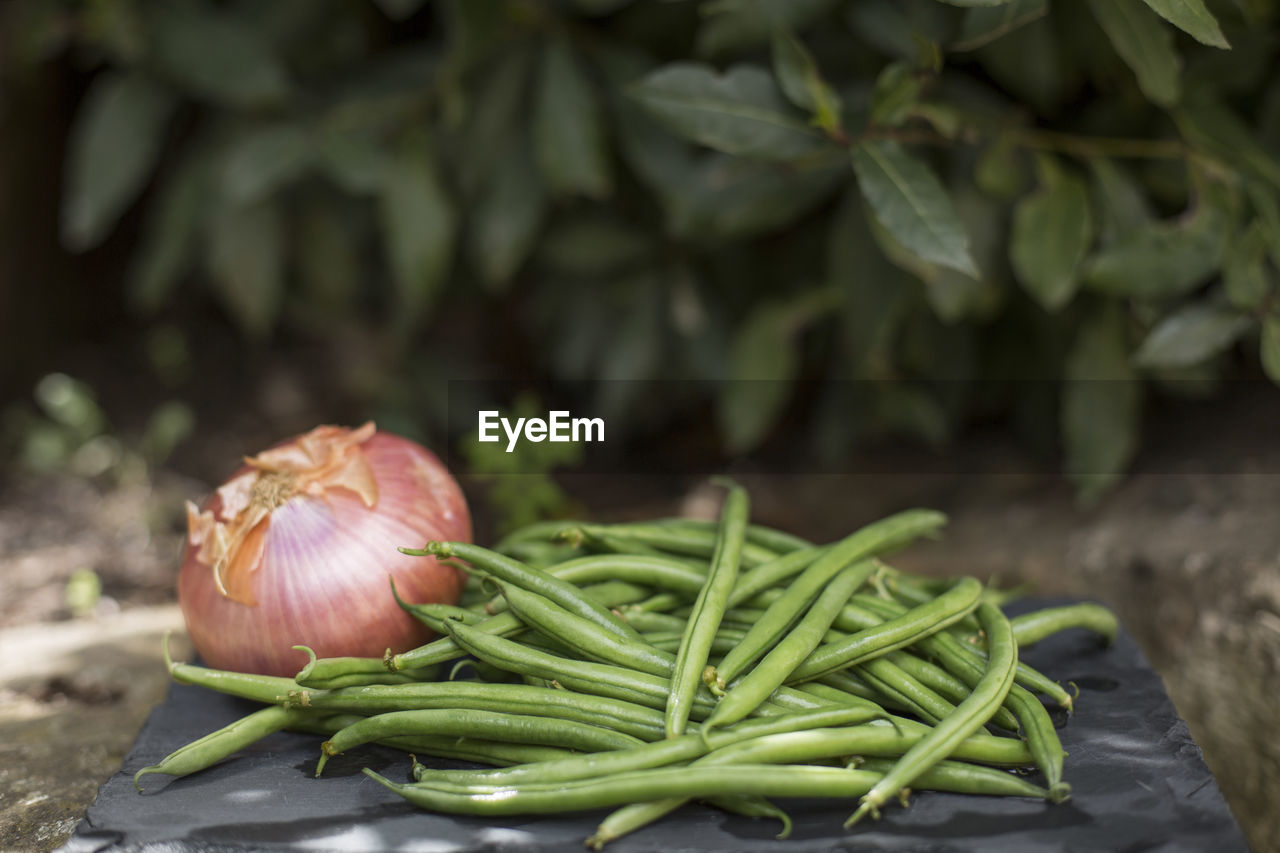 Close-up of fresh vegetables