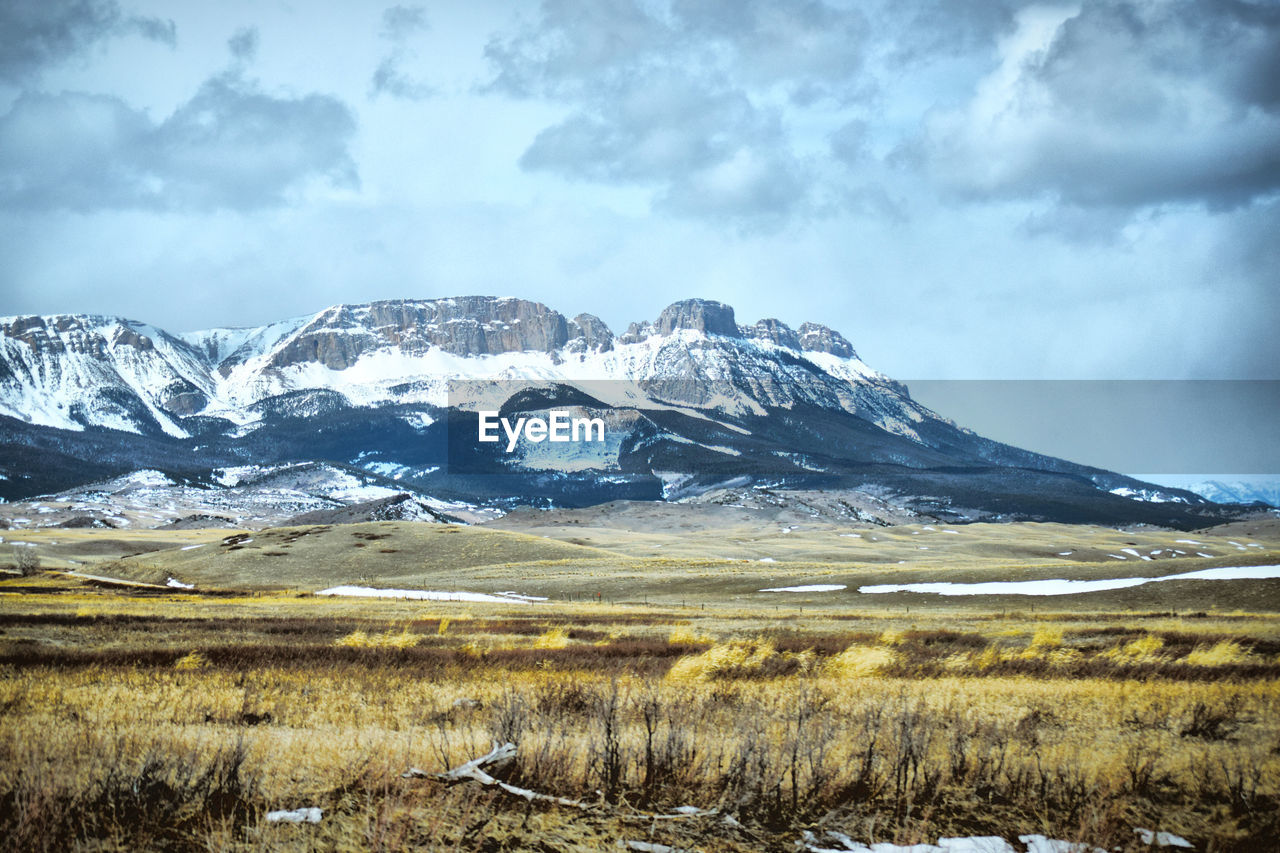 Montanas beauty