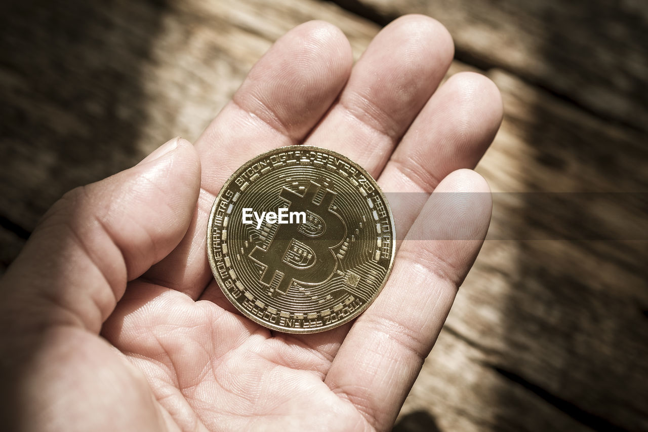 Cropped hand holding bitcoin