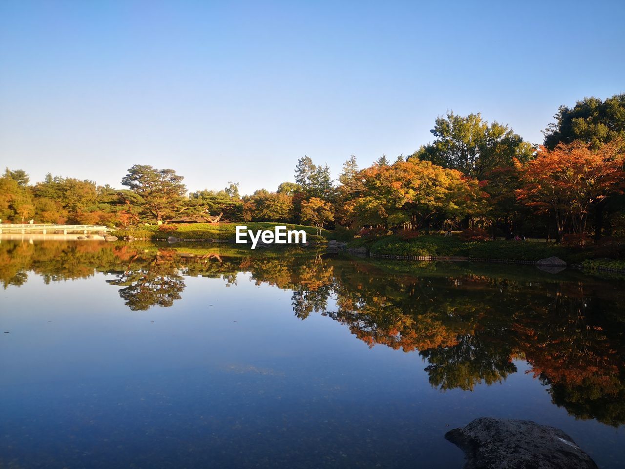 Reflection of trees in lake against clear sky