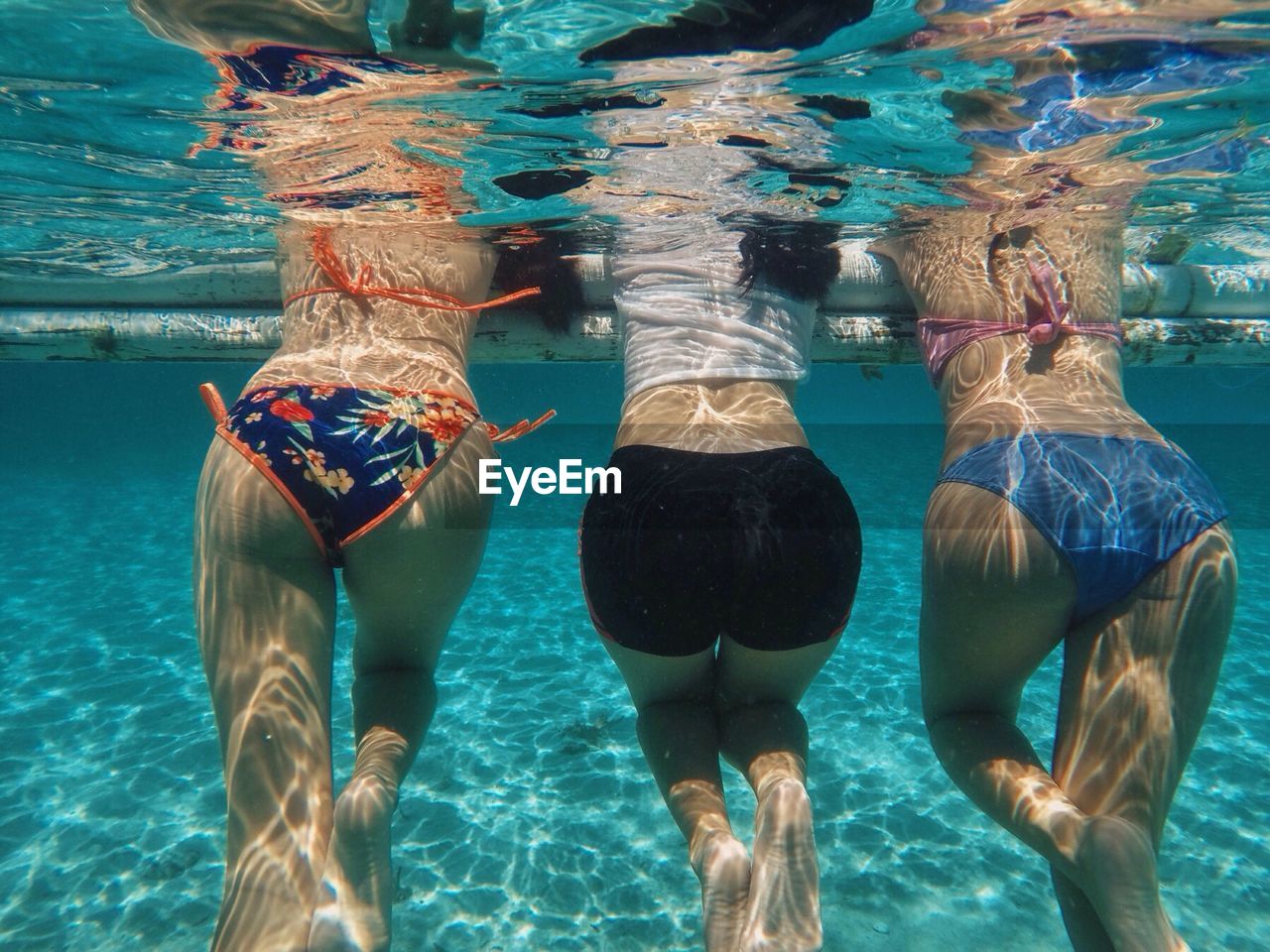 Rear view of friends swimming in sea