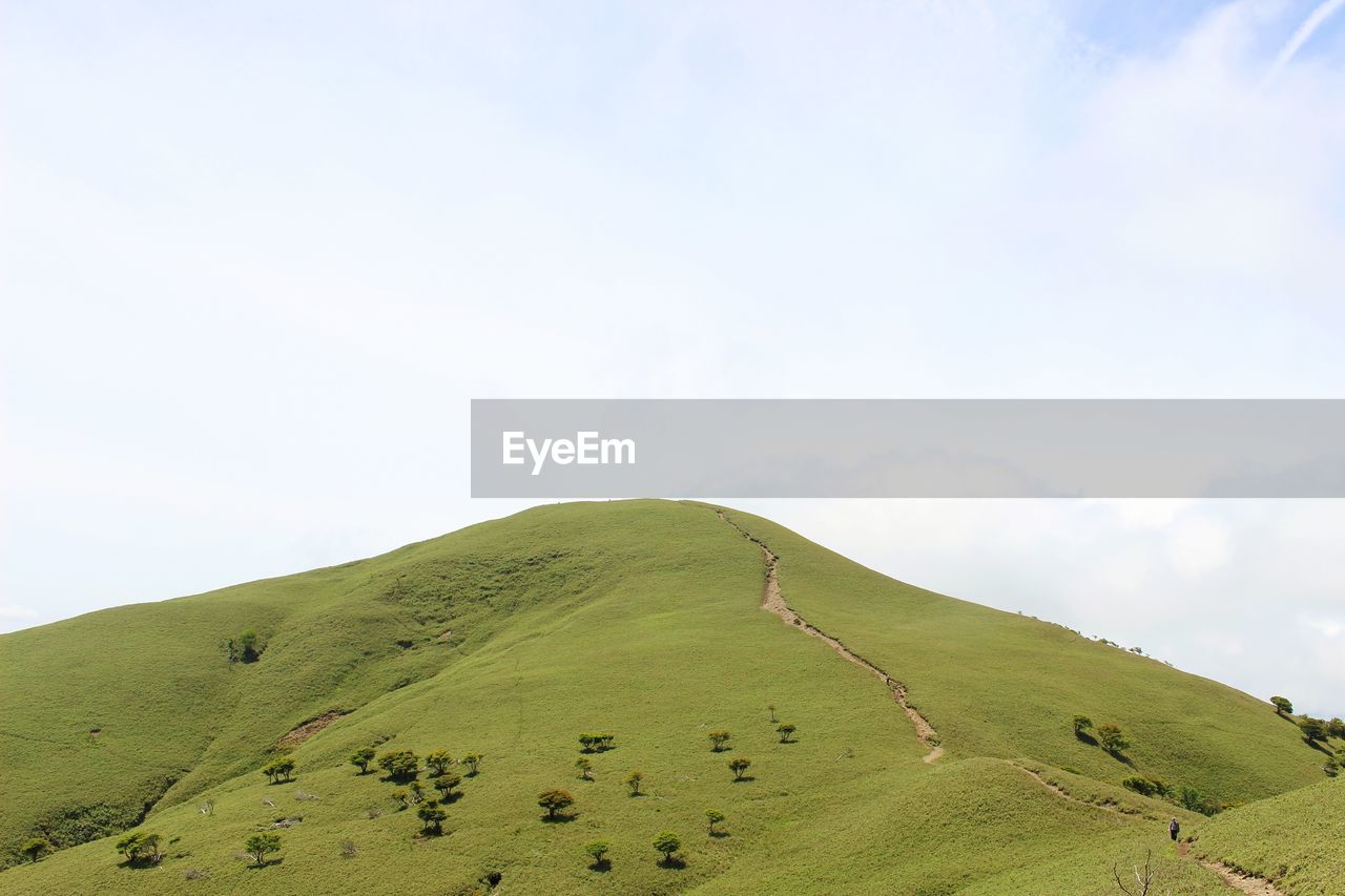 SCENIC VIEW OF GREEN LANDSCAPE AGAINST SKY