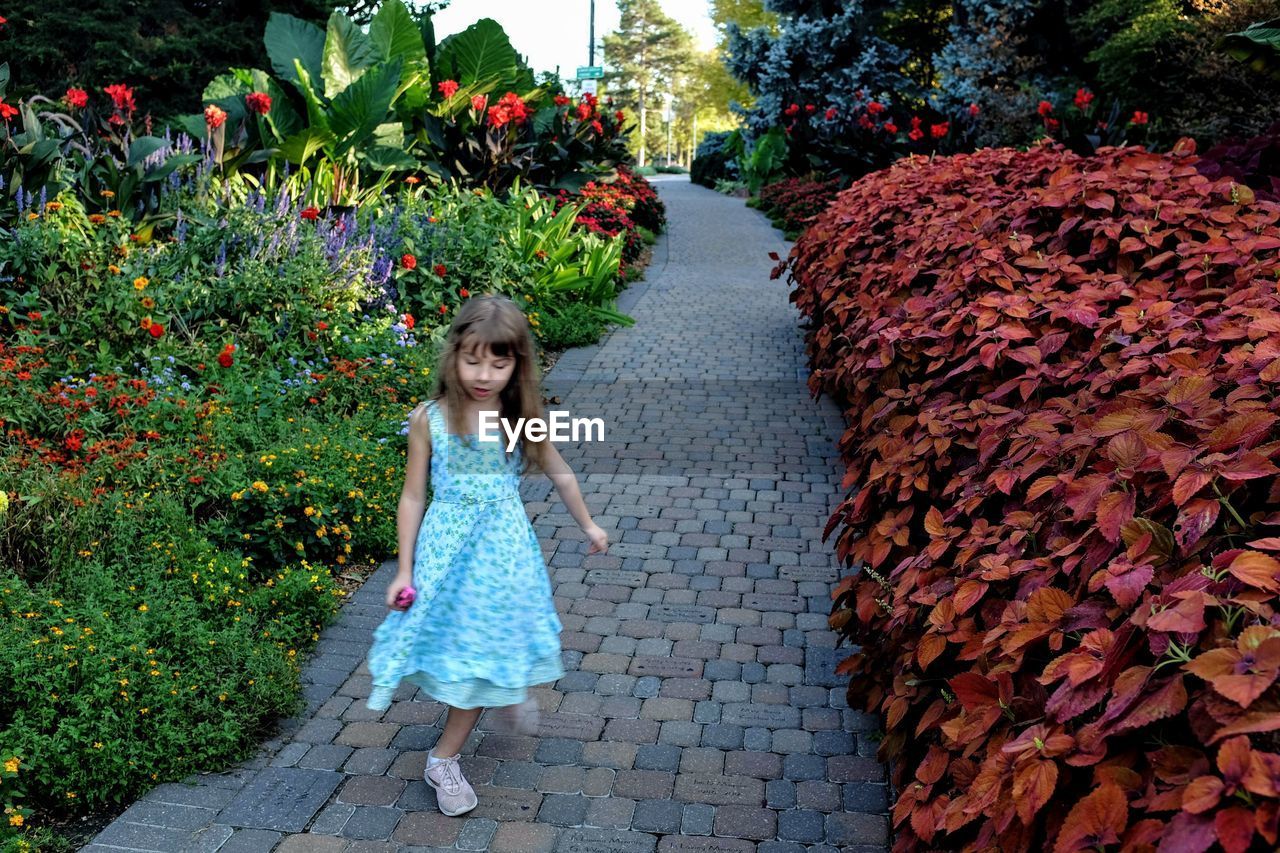 Full length of girl walking amidst plants on footpath at park