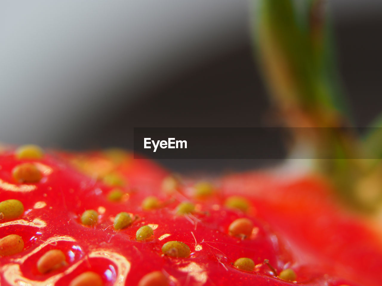 Close-up of strawberry