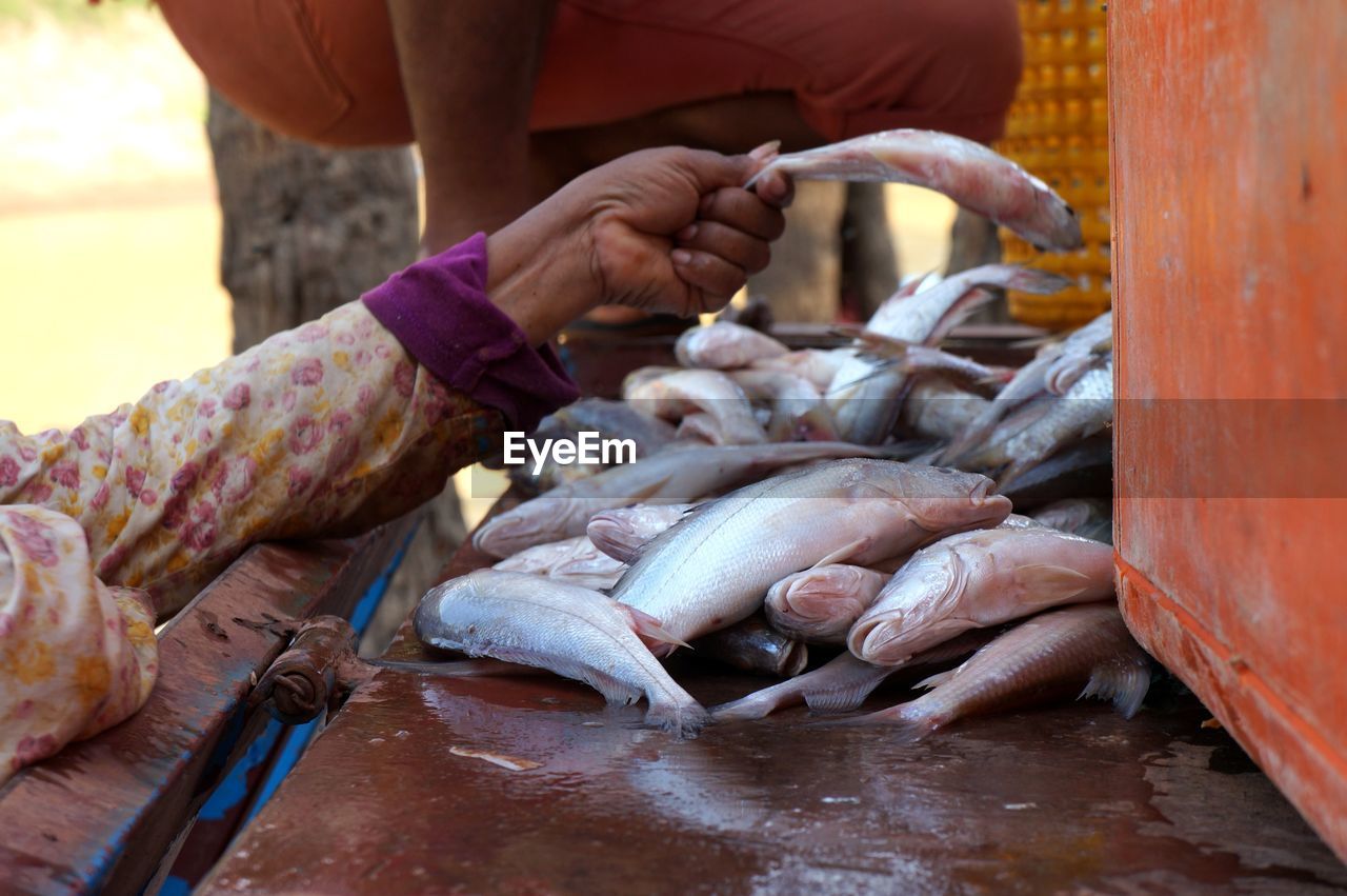 Midsection of person holding fish