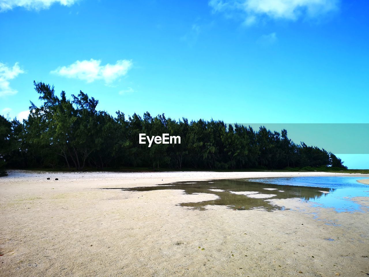 Scenic view of beach against blue sky