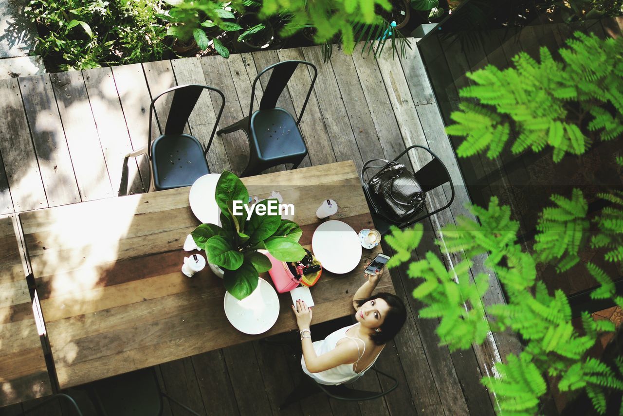 High angle view of potted plants on table