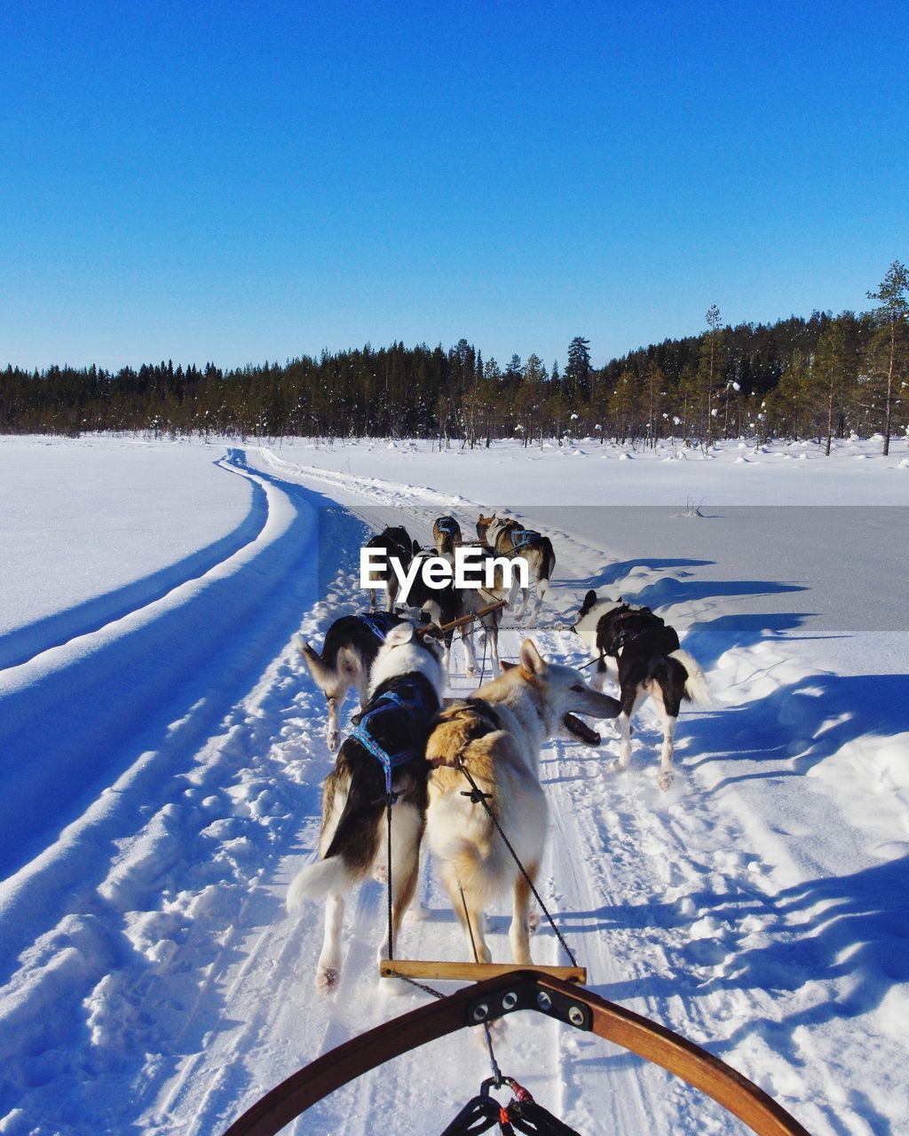 FAMILY ON FIELD DURING WINTER AGAINST SKY