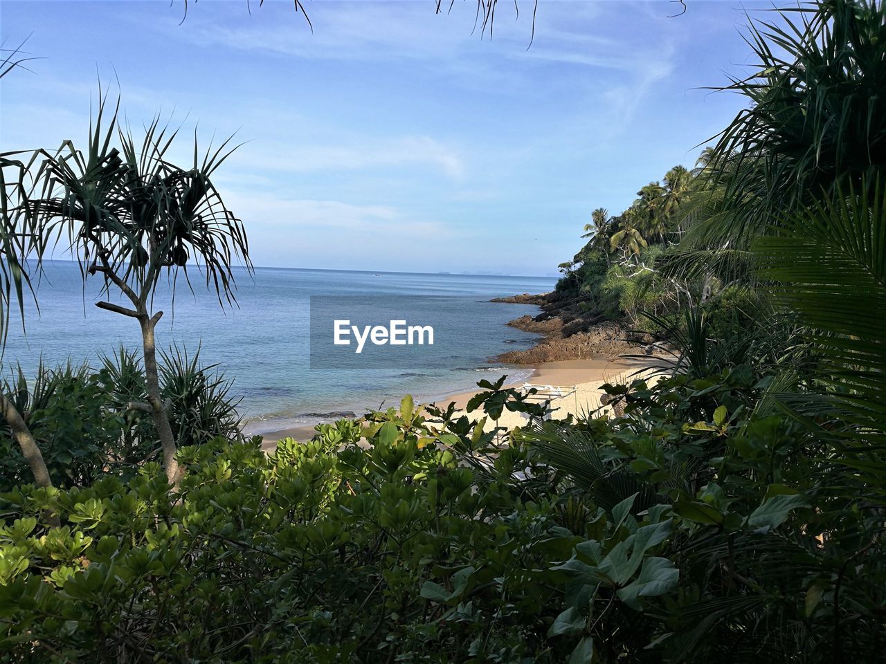 SCENIC VIEW OF SEA BY PALM TREES AGAINST SKY