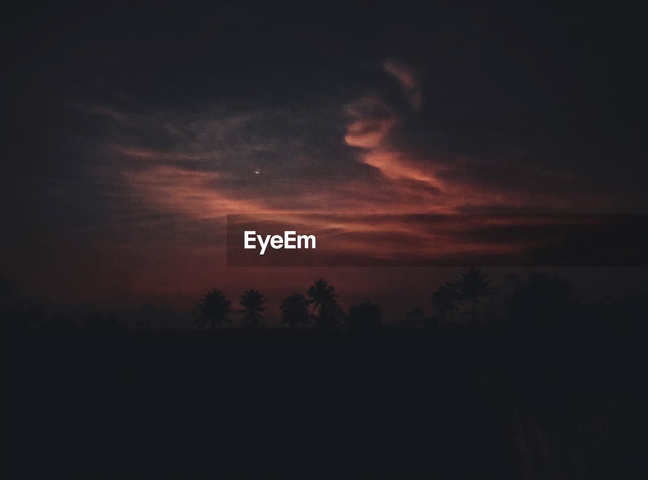 SILHOUETTE TREES ON LANDSCAPE AGAINST SKY DURING SUNSET