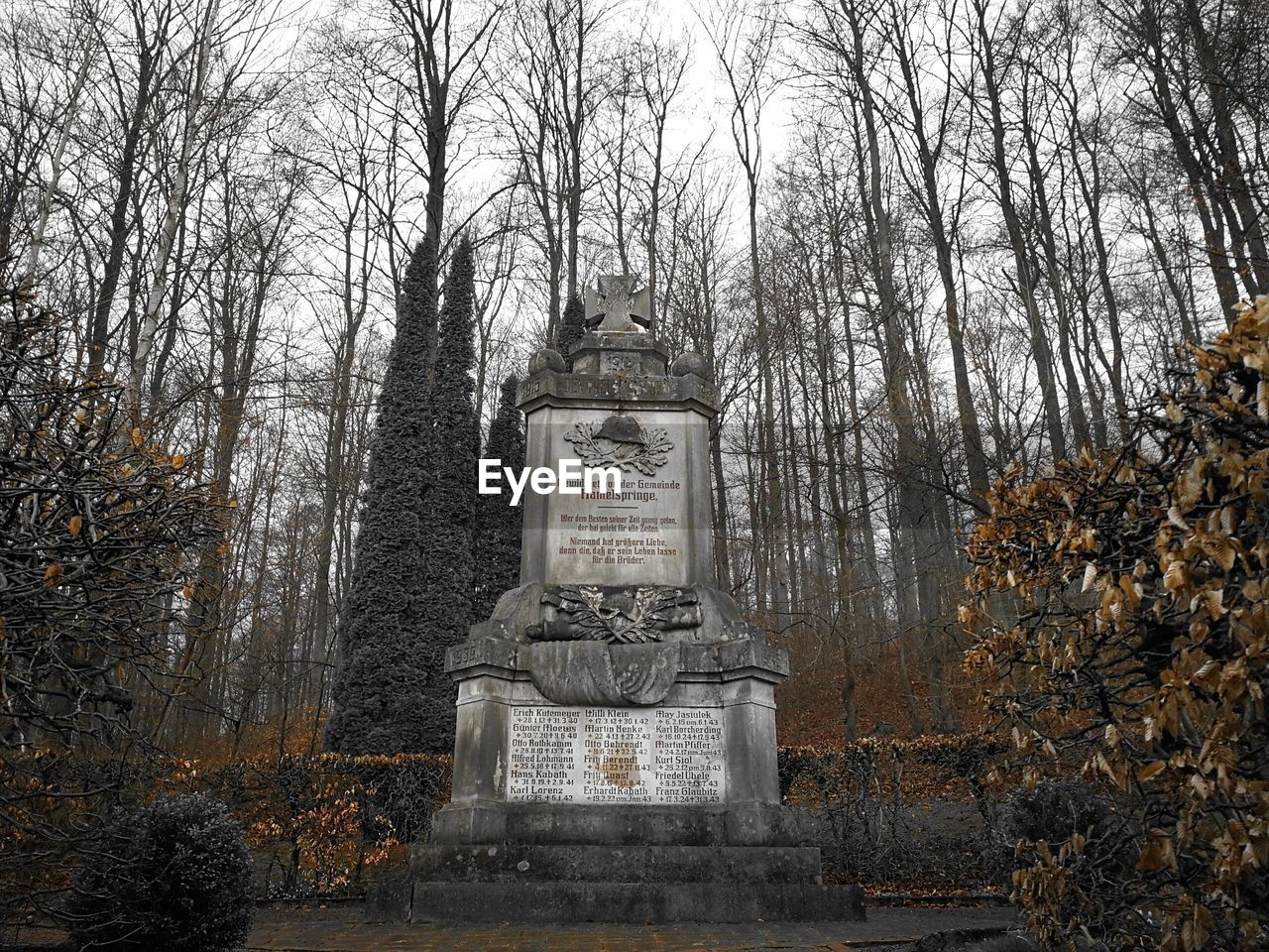 Low angle view of statue in forest