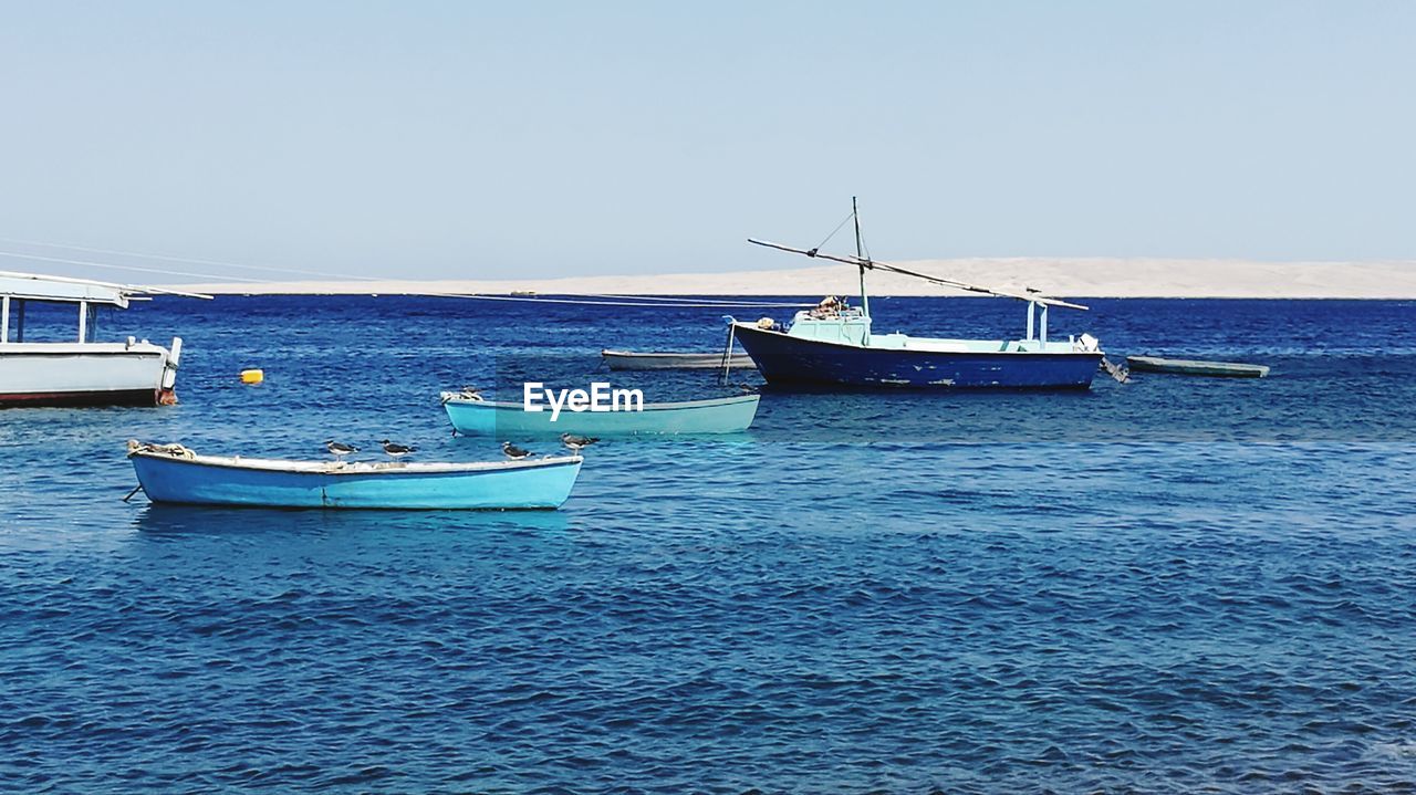 Blue fishing boats