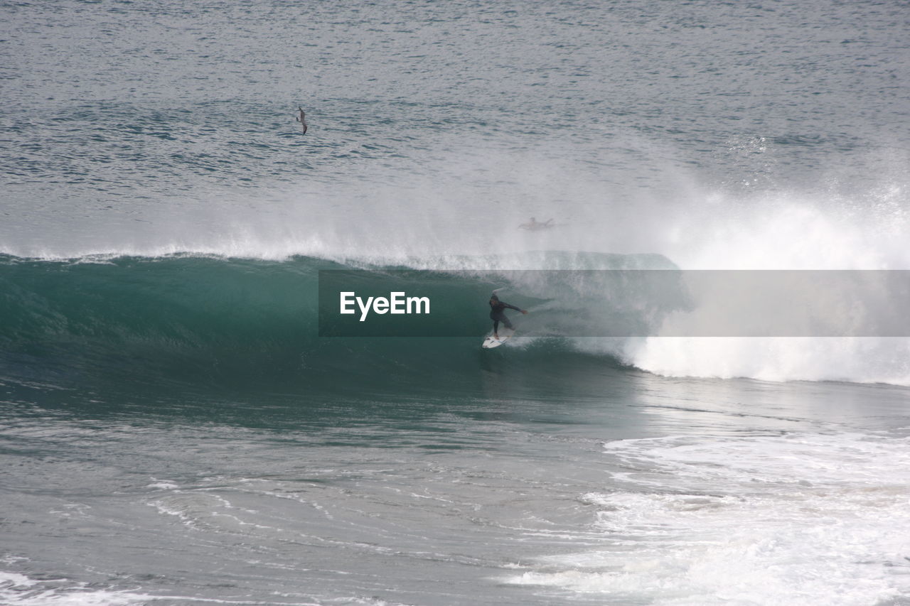 Person surfing in sea