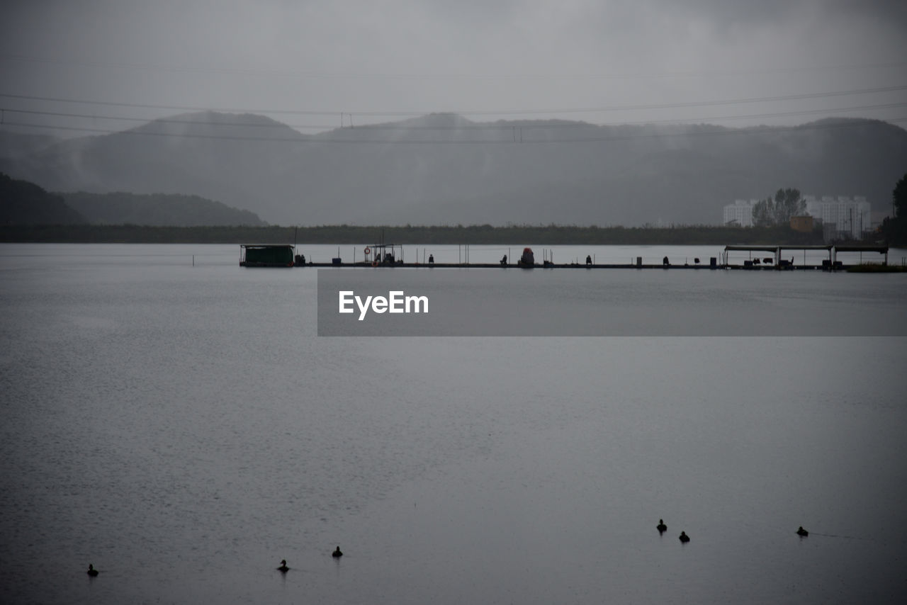 water, reflection, mountain, black and white, sky, nature, scenics - nature, monochrome, horizon, beauty in nature, morning, tranquility, monochrome photography, tranquil scene, sea, cloud, land, white, dawn, environment, mountain range, transportation, no people, fog, outdoors, beach, bird, animal themes, day, snow, travel destinations, animal, landscape, architecture, non-urban scene, group of animals, travel, darkness, silhouette, built structure