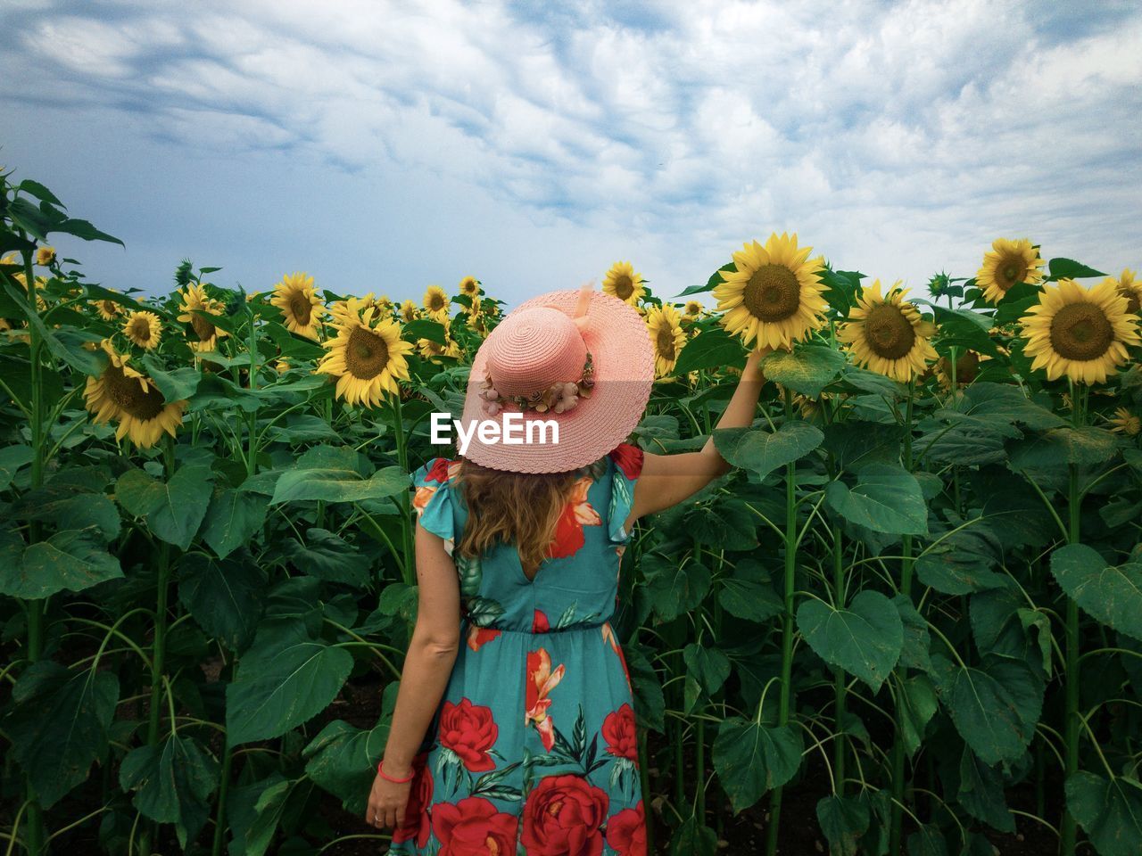 Rear view of woman wearing dress and sun hat in a field of sunflowers on a cloudy day