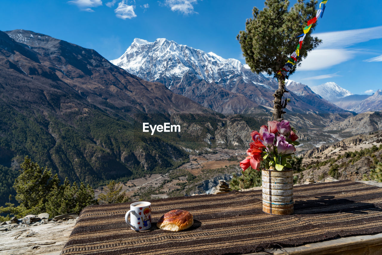 FLOWER TREE AGAINST MOUNTAIN RANGE