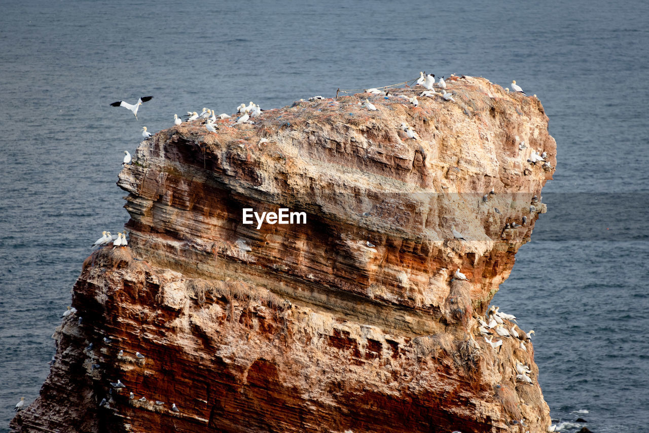 high angle view of rock formation in sea