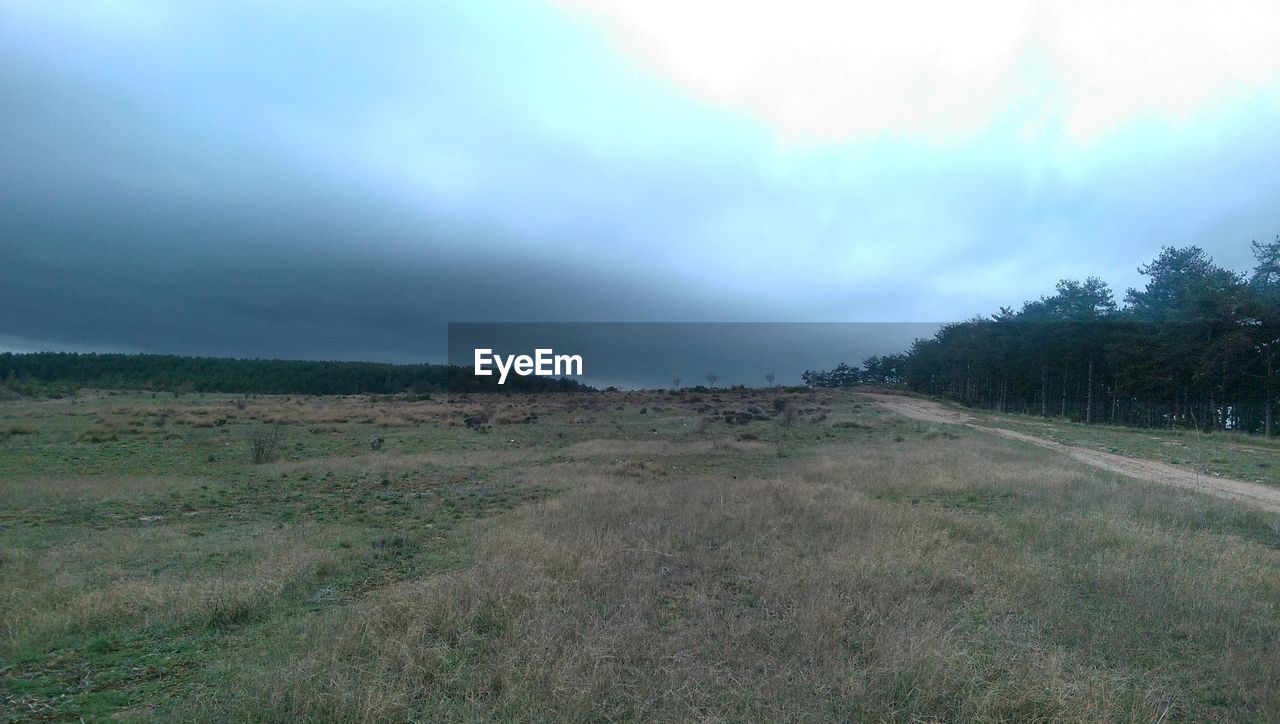 SCENIC VIEW OF FARM AGAINST SKY