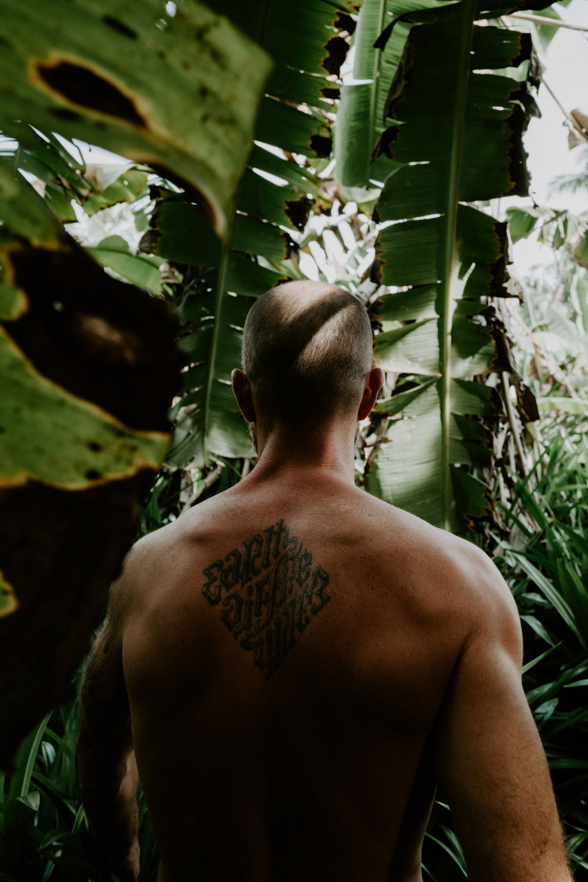 View from behind man walking in the jungle