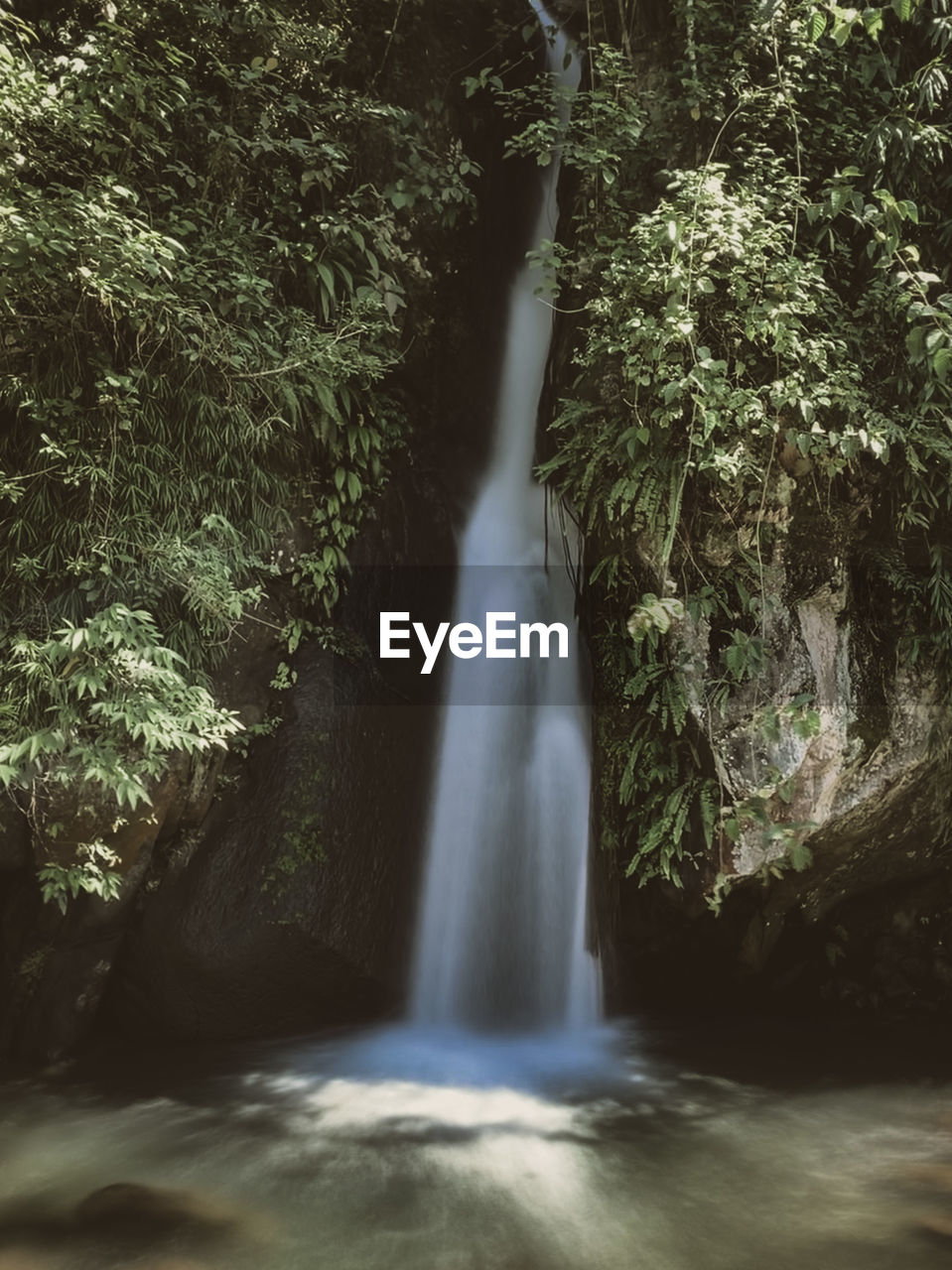 VIEW OF WATERFALL IN FOREST