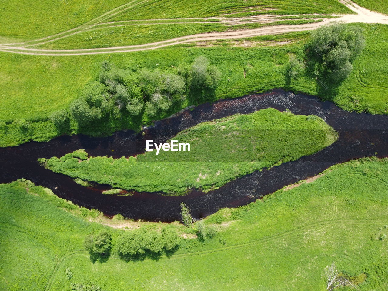 HIGH ANGLE VIEW OF GREEN LAND AND GRASS