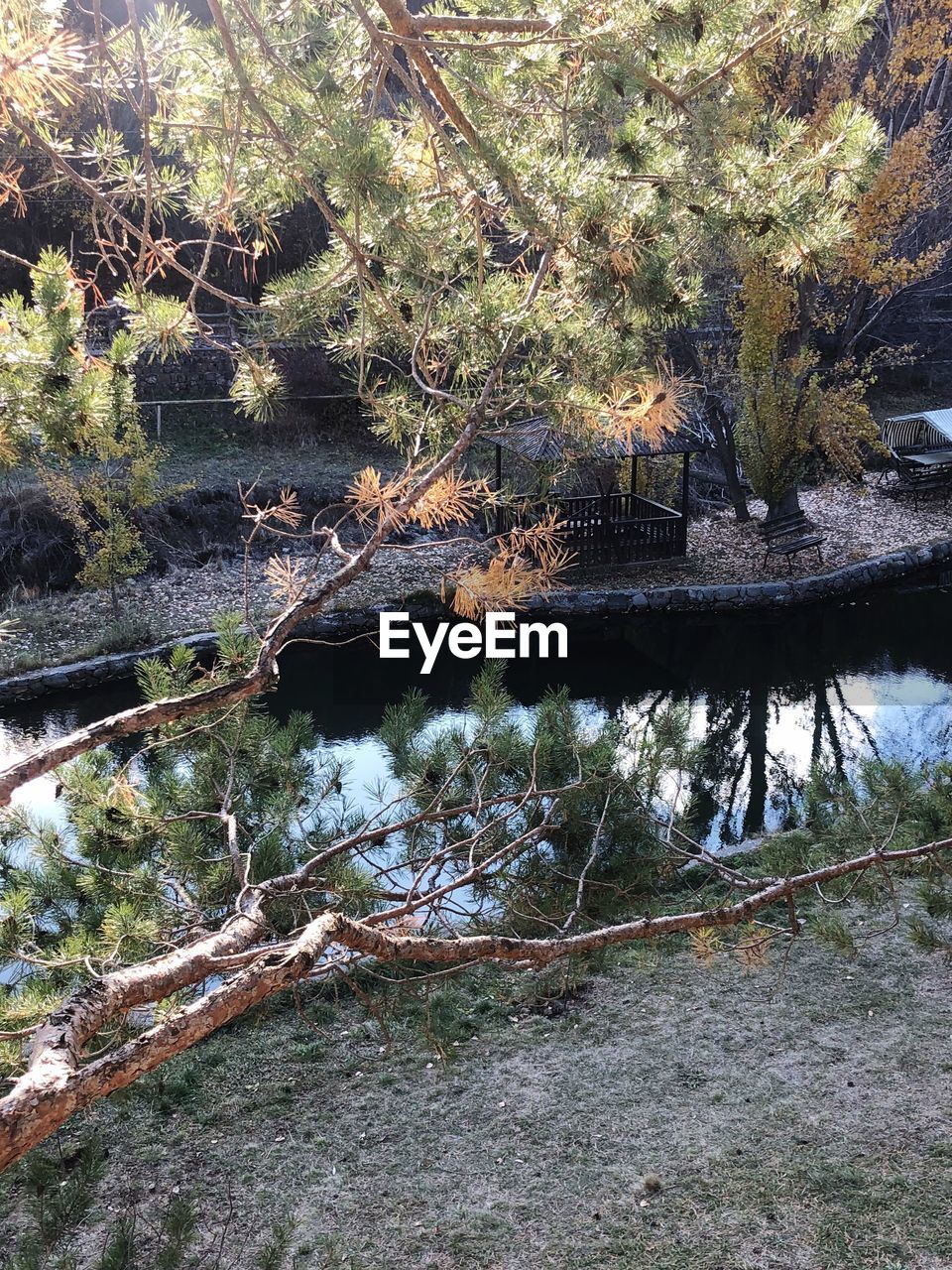 REFLECTION OF TREES IN LAKE WATER