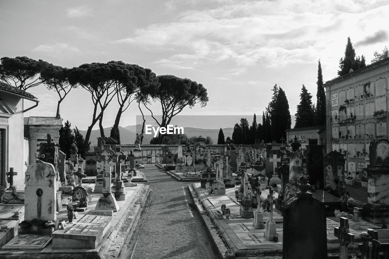 Cemetery by trees against sky