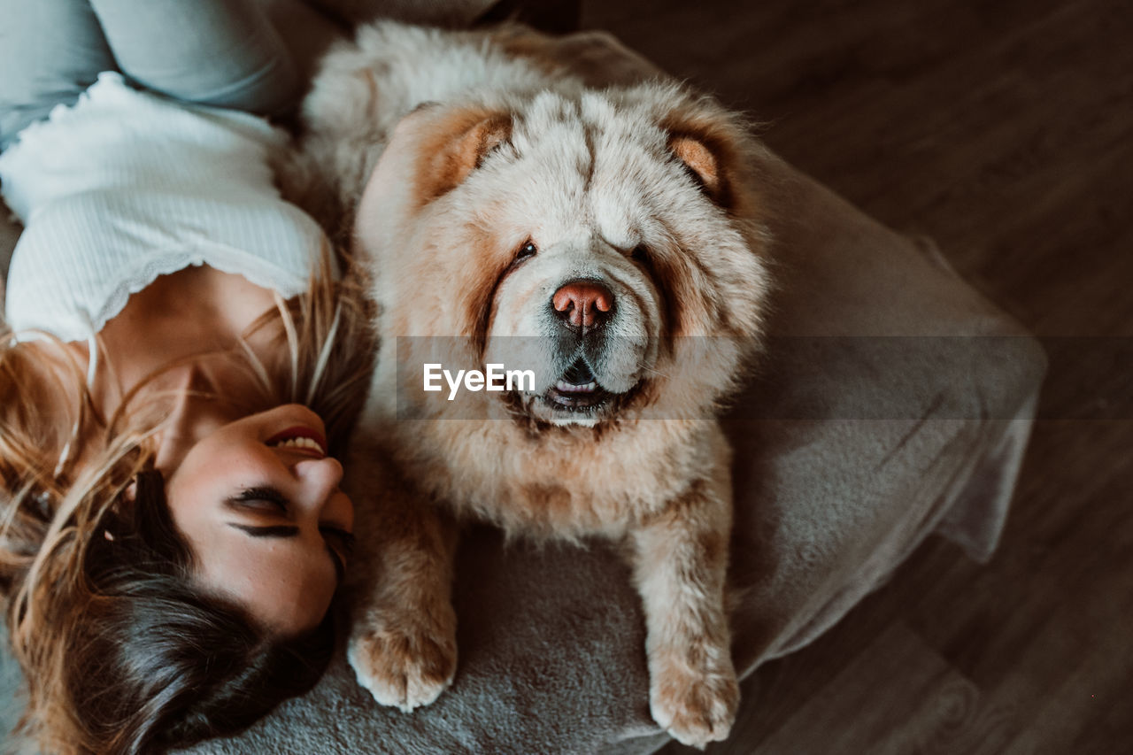 High angle view of young woman with dog lying on bed at home