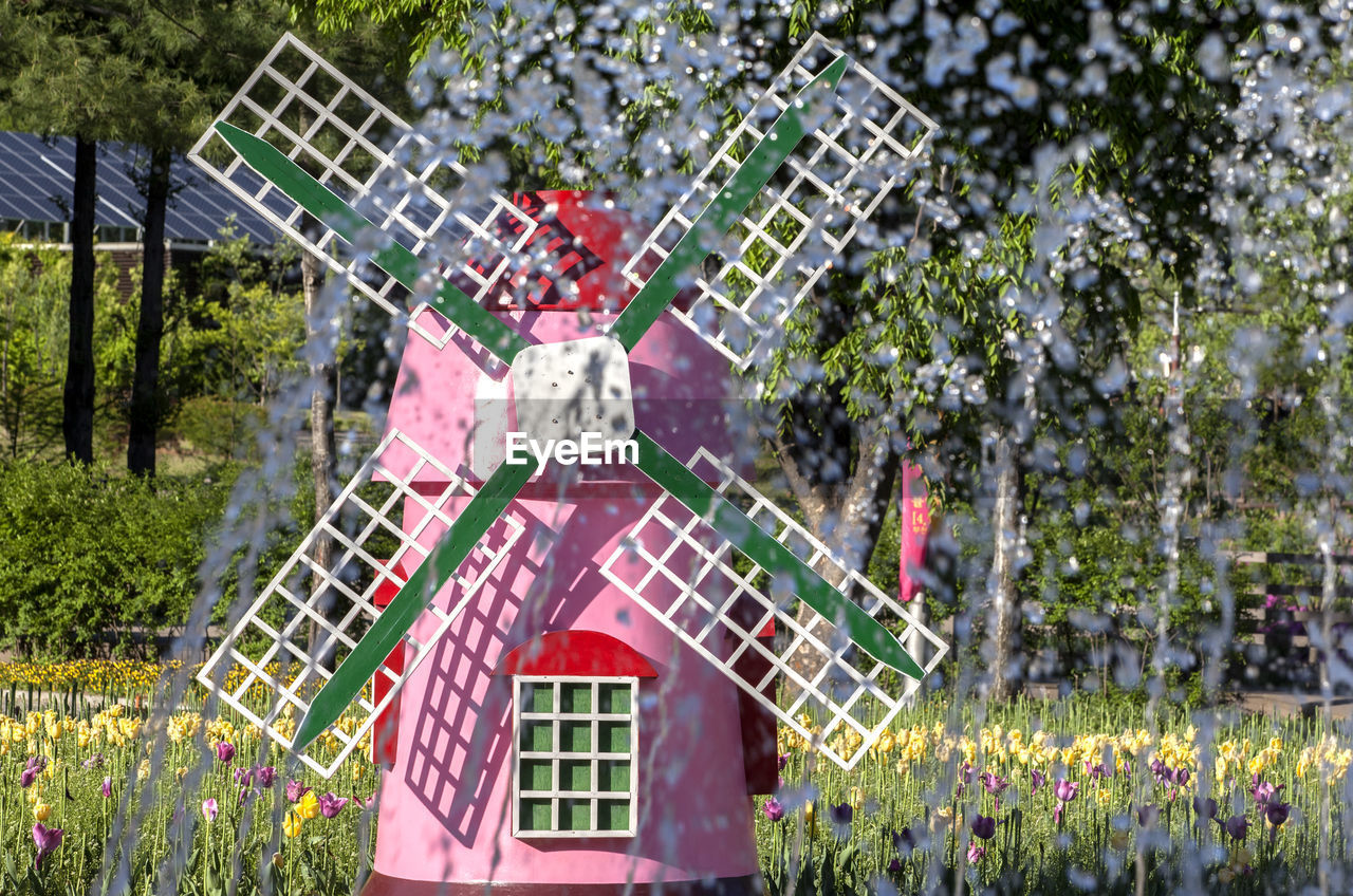 Fountain splashing water against pink windmill amidst tulips in park