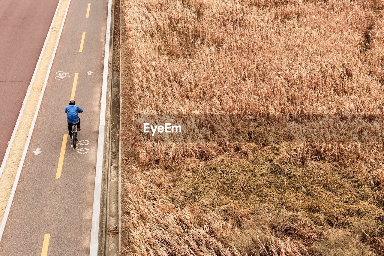 High angle view of man cycling on road by grassy field