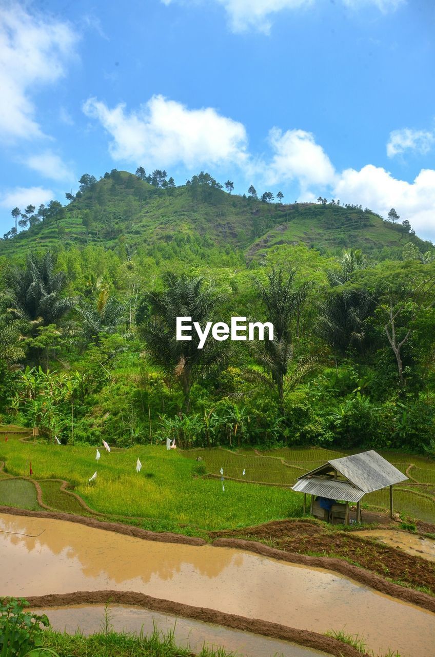 SCENIC VIEW OF LAND AGAINST SKY