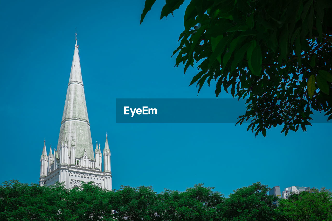 LOW ANGLE VIEW OF TREES AND BUILDINGS AGAINST SKY