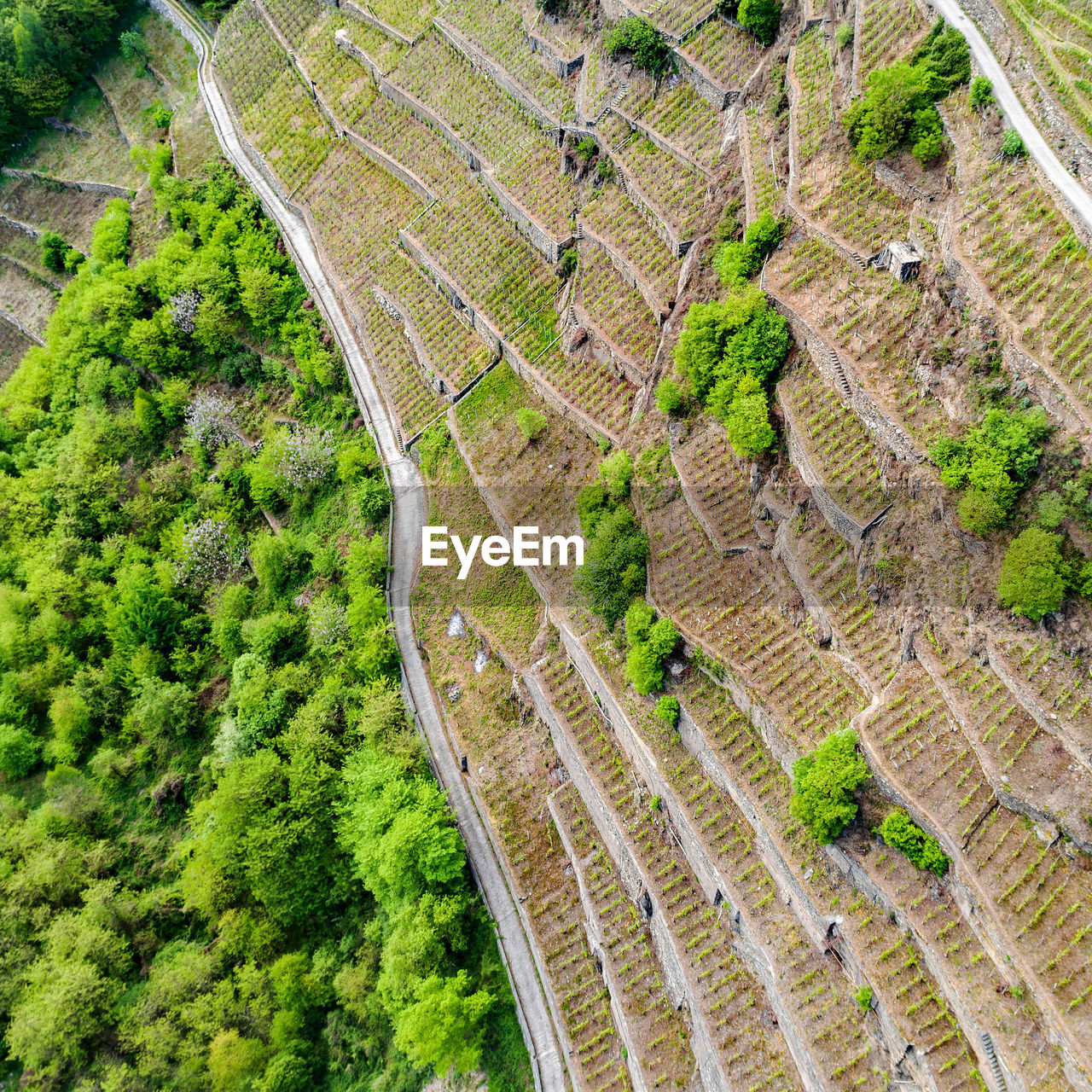 HIGH ANGLE VIEW OF FARM