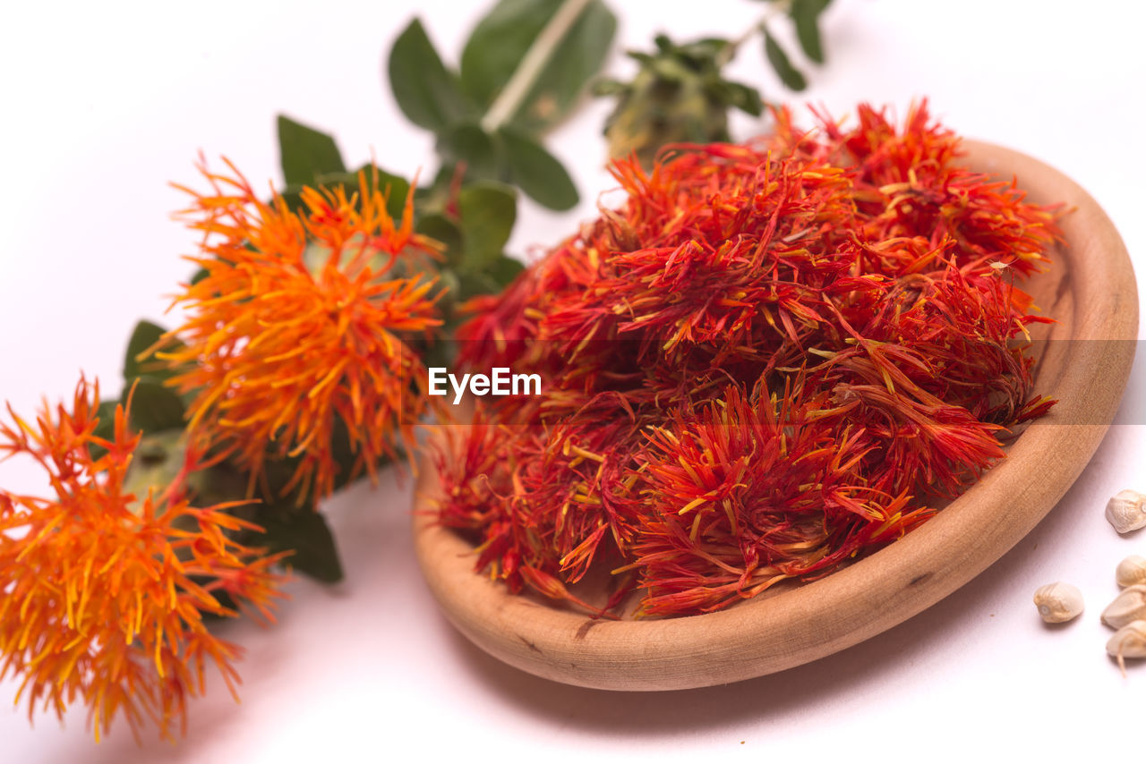 Close-up of saffron in plate against white background