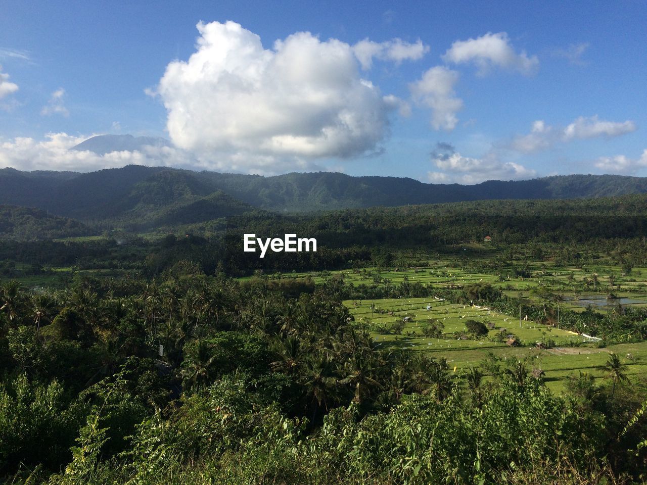 SCENIC VIEW OF FARM AGAINST SKY