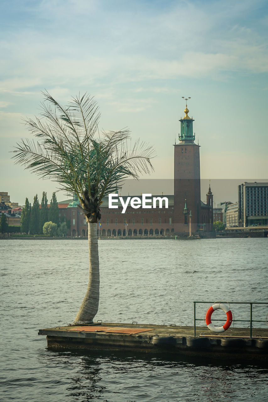 TREE BY BUILDING AGAINST SKY